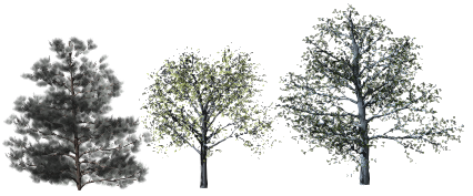 High Surface Count Trees High Surface Count Trees