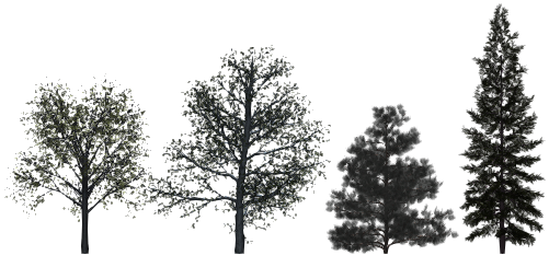 High Surface Count Trees